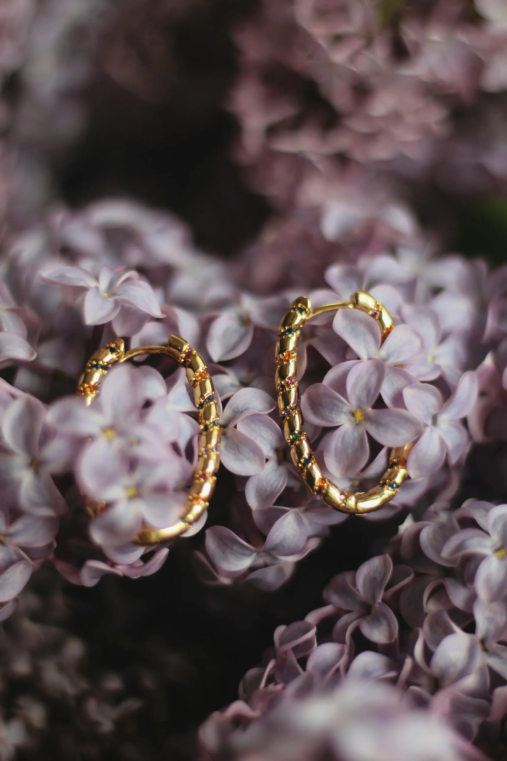 Timeless Gold Hoop Earrings 2
