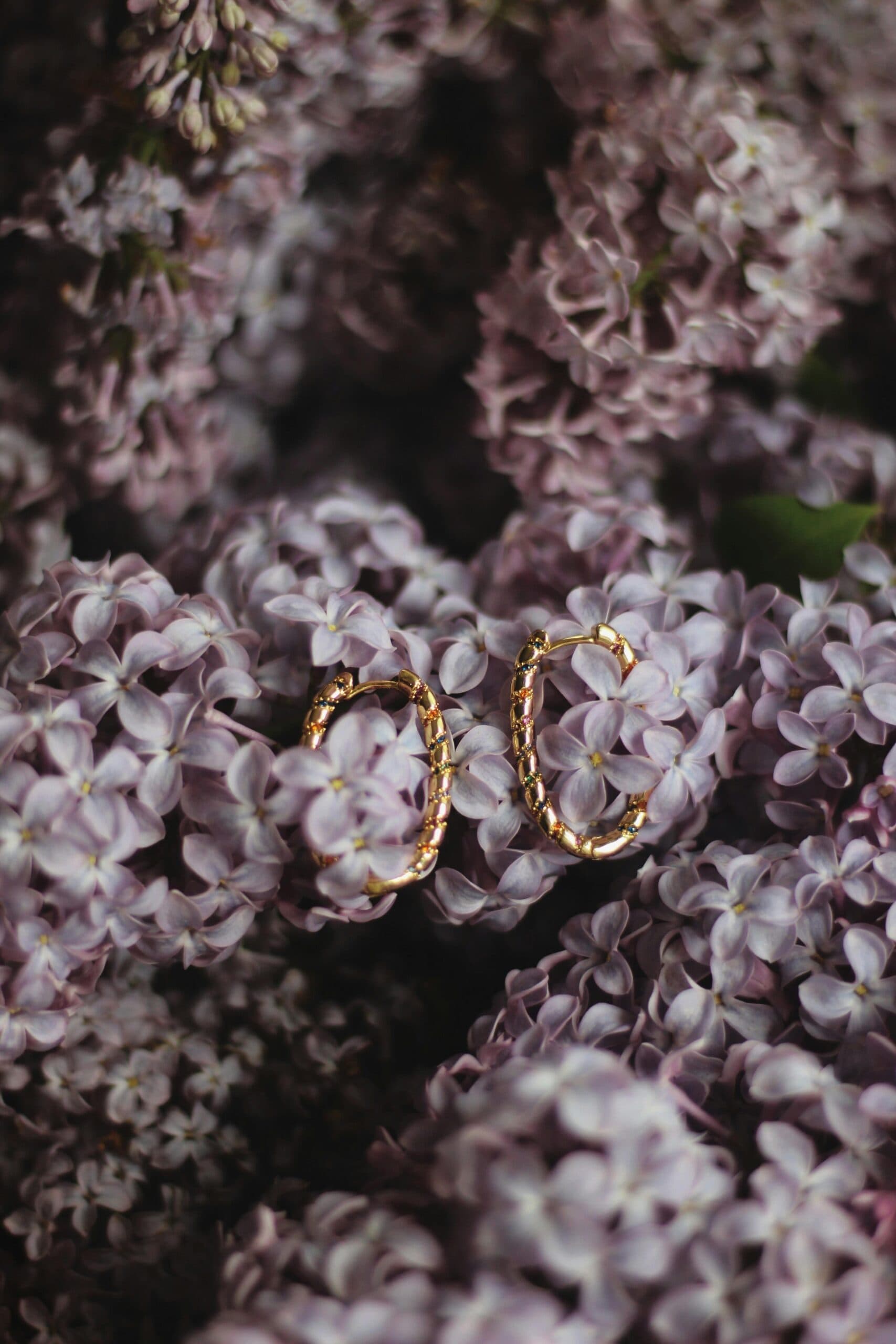 Timeless Gold Hoop Earrings 2